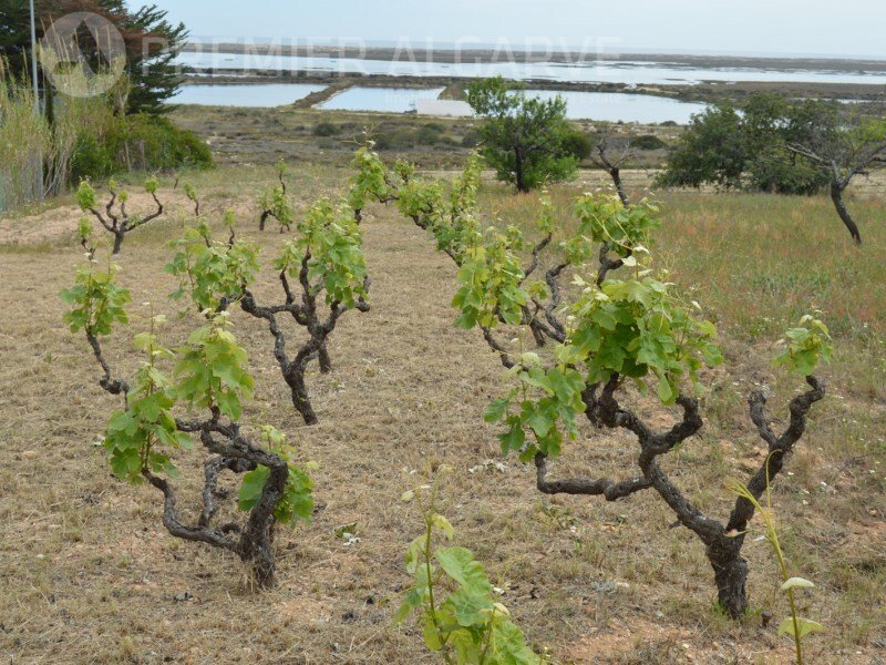 2 Schlafzimmer Haus in Olhao, Portugal, Nr. 128643
