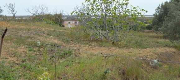 2 Schlafzimmer Haus in Olhao, Portugal, Nr. 128643 13