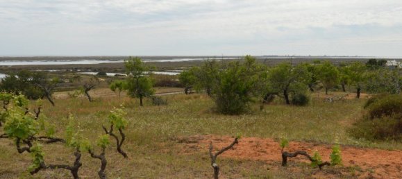 2 Schlafzimmer Haus in Olhao, Portugal, Nr. 128643 19