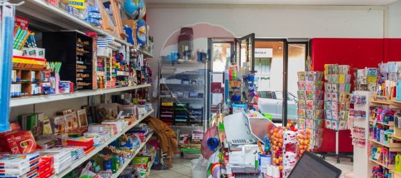 2-Zimmer Gewerbliche Immobilie in Zafferana Etnea, Italy, Nr. 52539 6