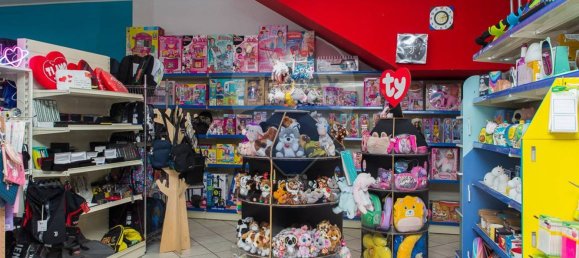 2-Zimmer Gewerbliche Immobilie in Zafferana Etnea, Italy, Nr. 52539 16