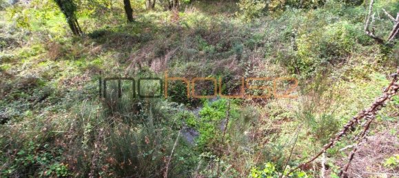 3 bedrooms House in Amarante, Portugal No. 145245 34