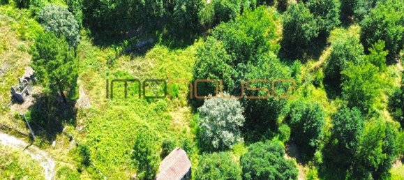 3 bedrooms House in Amarante, Portugal No. 145245 4