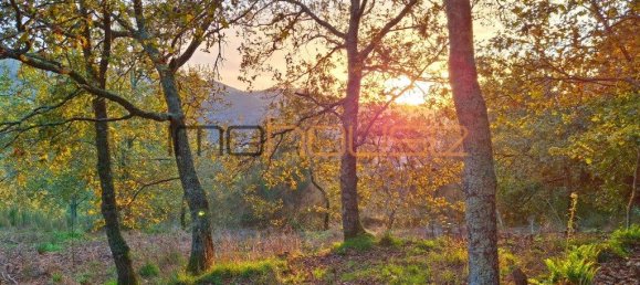 3 bedrooms House in Amarante, Portugal No. 145245 18