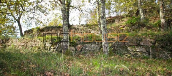 3 bedrooms House in Amarante, Portugal No. 145245 35