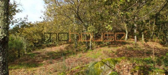 3 bedrooms House in Amarante, Portugal No. 145245 36