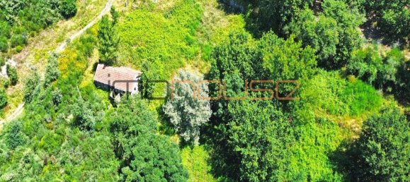 3 bedrooms House in Amarante, Portugal No. 145245 15