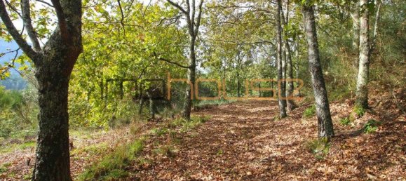 3 bedrooms House in Amarante, Portugal No. 145245 40