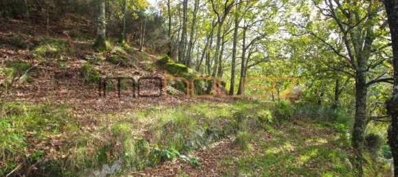 3 bedrooms House in Amarante, Portugal No. 145245 43