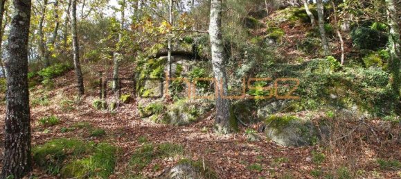 3 bedrooms House in Amarante, Portugal No. 145245 38