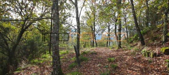 3 bedrooms House in Amarante, Portugal No. 145245 39