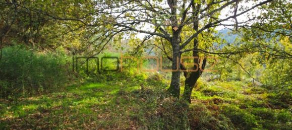 3 bedrooms House in Amarante, Portugal No. 145245 33