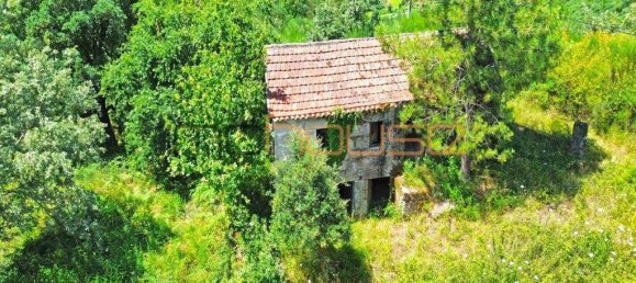 3 bedrooms House in Amarante, Portugal No. 145245 5