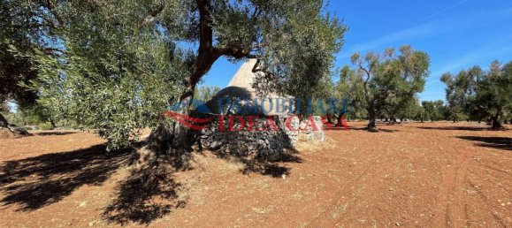 1 chambre Maison à Francavilla Fontana, Italy No. 72445 2