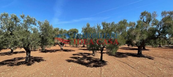 1 chambre Maison à Francavilla Fontana, Italy No. 72445 12