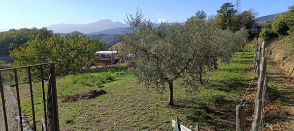 Terrain à Orco Feglino, Italy 750m² No. 265107 5