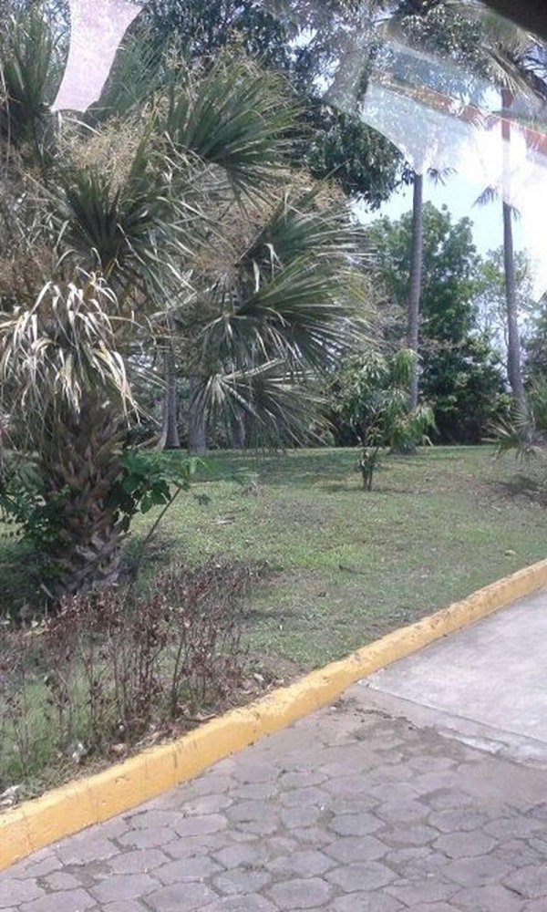  Land in Veracruz, Mexico No. 205022