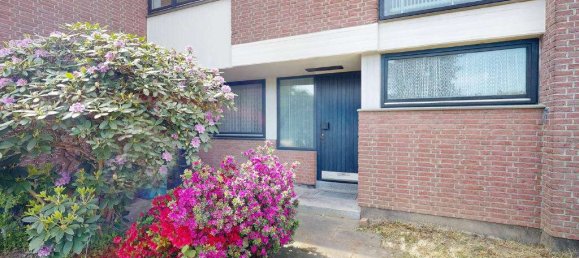 5 bedrooms House in Rhein-Erft, Germany No. 222276 14