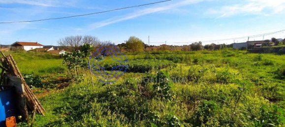  قطعة أرض في Tomar, Portugal رقم 79579 13