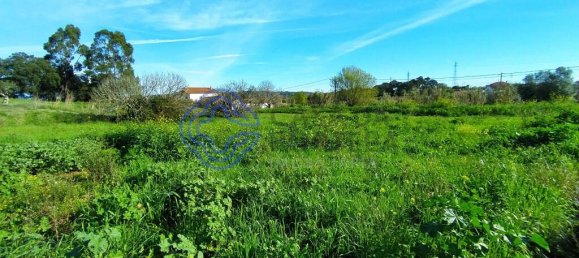  قطعة أرض في Tomar, Portugal رقم 79579 10