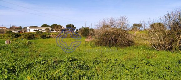  قطعة أرض في Tomar, Portugal رقم 79579 9