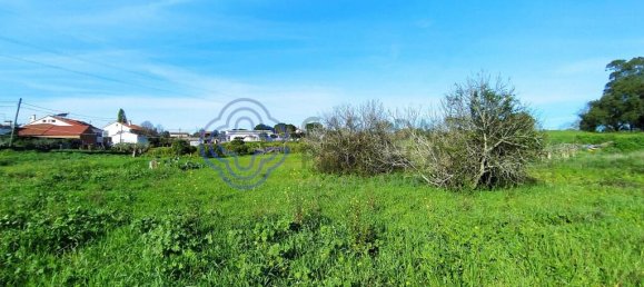  قطعة أرض في Tomar, Portugal رقم 79579 15