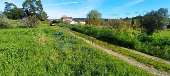  قطعة أرض في Tomar, Portugal رقم 79579 11