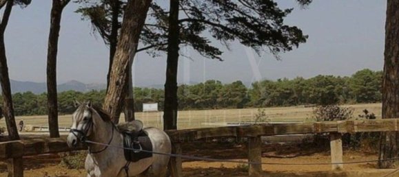 Terreno em Sintra, Portugal 12142 m² N.º 128910 12