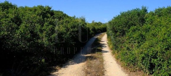 Terreno em Sintra, Portugal 12142 m² N.º 128910 15