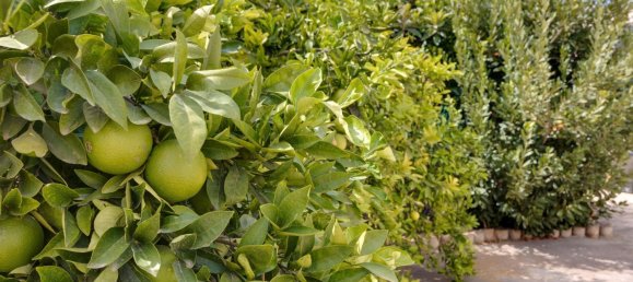 Casa T7 em Alicante, Spain N.º 50818 60