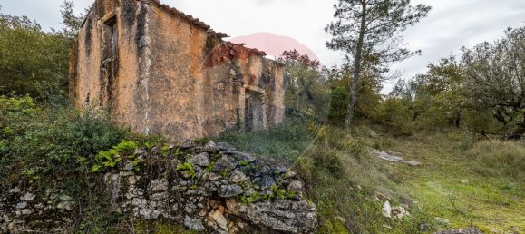 4 chambres Maison à Ansiao, Portugal No. 162308 6