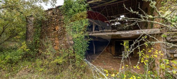 4 chambres Maison à Ansiao, Portugal No. 162308 5