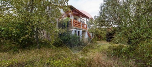 4 chambres Maison à Ansiao, Portugal No. 162308 4