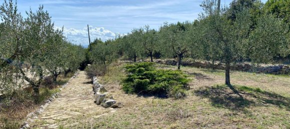 Вилла с 9 спальнями в Камерата Пичена, Италия № 343284 45