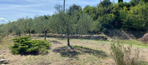 Вилла с 9 спальнями в Камерата Пичена, Италия № 343284 46