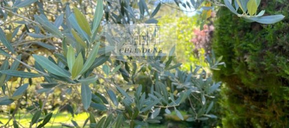 10غرفة فيلا في Vejano, Italy رقم 284080 45