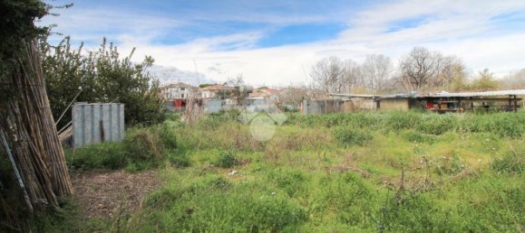 4 غرف نوم منزل في Città Sant'Angelo, Italy رقم 219181 57