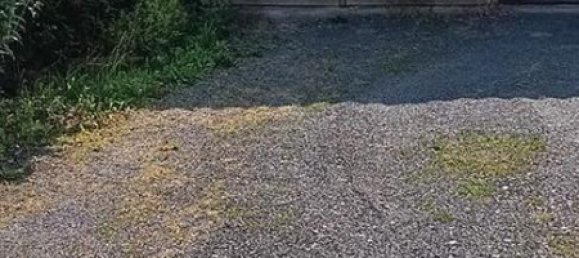 6-Zimmer Stadthaus in Mittelsachsen, Germany, Nr. 267153 6