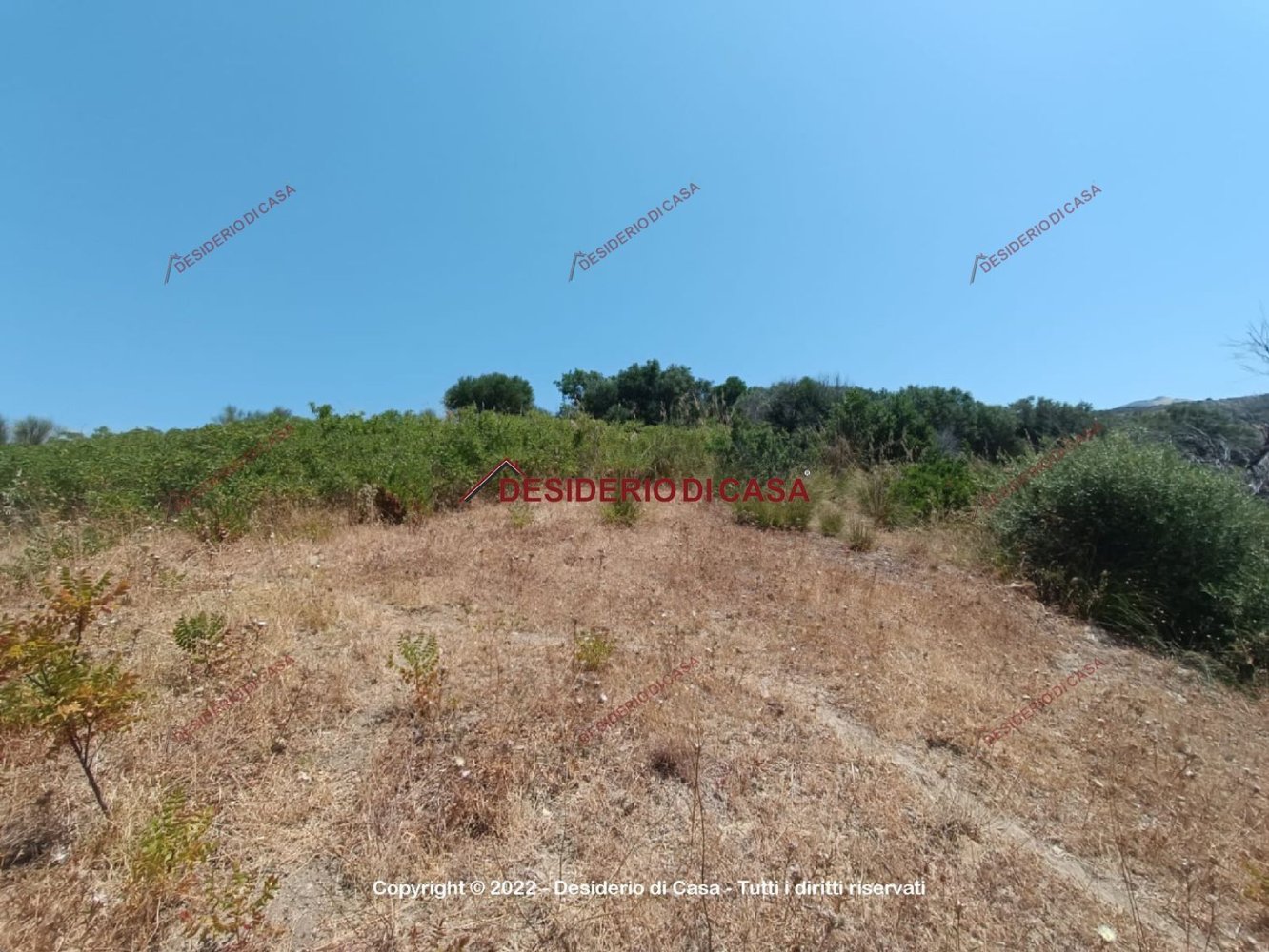 46502m² Land in Lascari, Italy No. 90777