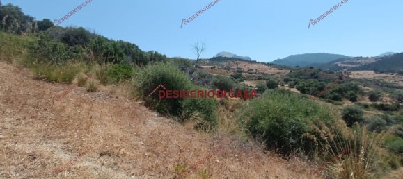 46502m² Land in Lascari, Italy No. 90777 3