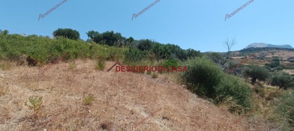 46502m² Land in Lascari, Italy No. 90777 4