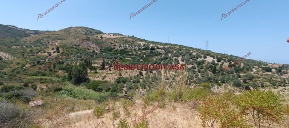 46502m² Land in Lascari, Italy No. 90777 5
