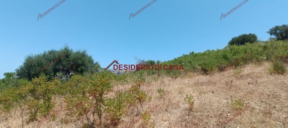 46502m² Land in Lascari, Italy No. 90777 2