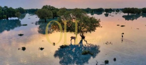 5 Schlafzimmer Villa in Abu Dhabi, UAE, Nr. 39540 10