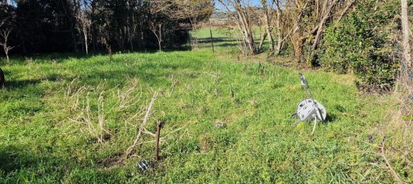 17غرفة منزل في Corciano, Italy رقم 172999 26