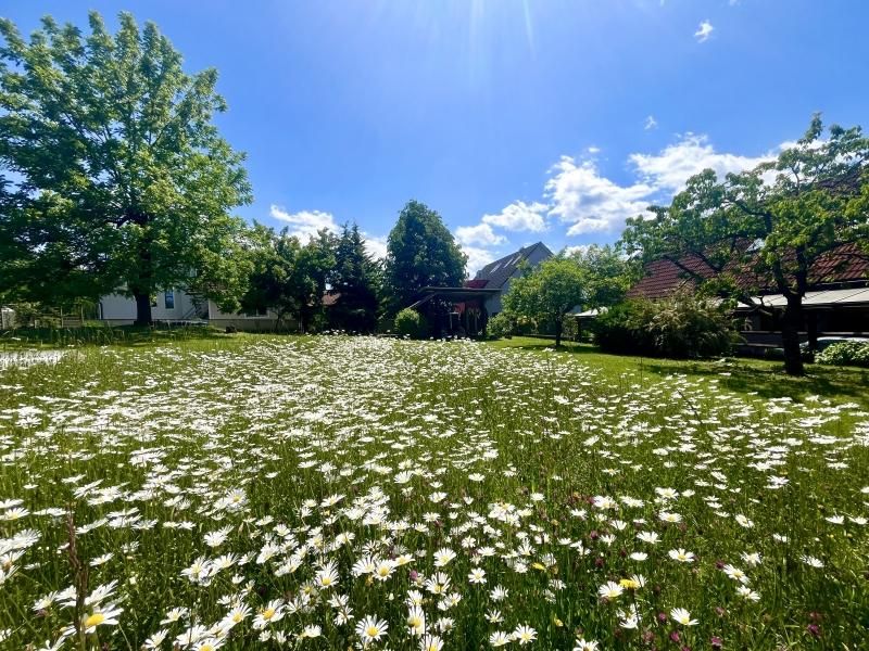 Terreno em Haselsdorf-Tobelbad, Austria N.º 193038