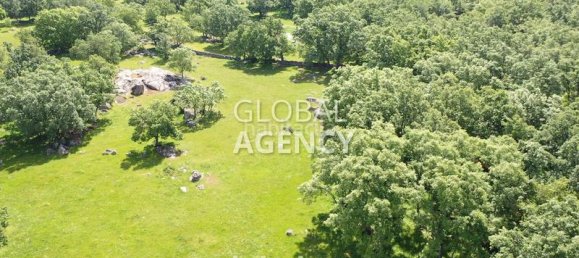 20 Schlafzimmer Haus in El Escorial, Spain, Nr. 189728 10