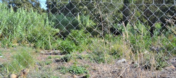 3000m² Hotel in Corfu, Greece No. 4092 4