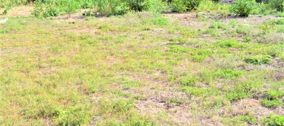 3000m² Hotel in Corfu, Greece No. 4092 3