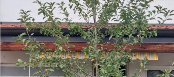 6 rooms Apartment in Scorzè, Italy No. 16196 13